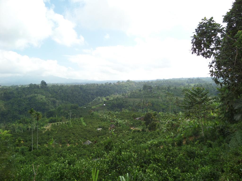 Senetan Villas&Spa Resort Ubud Exteriör bild