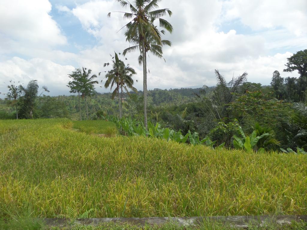 Senetan Villas&Spa Resort Ubud Exteriör bild