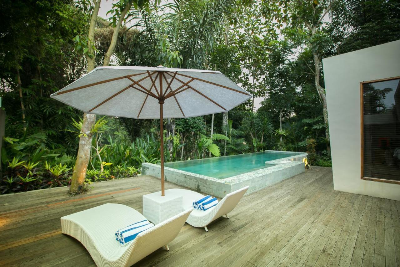 Senetan Villas&Spa Resort Ubud Rum bild